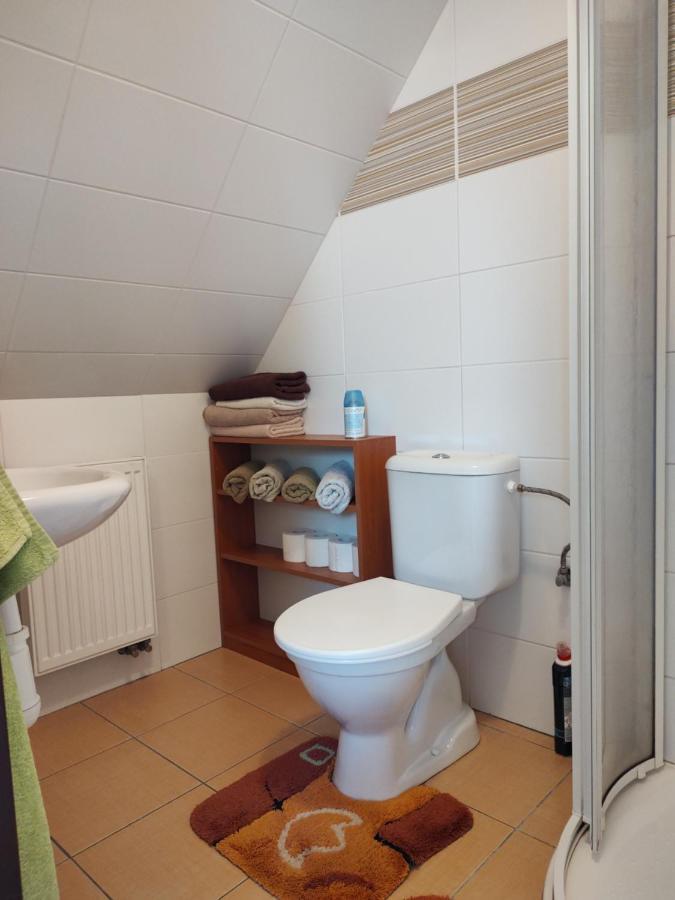 Apartman V Podkrovi Appartement Dobruška Buitenkant foto